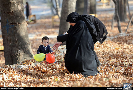 جلوه‌های پاییز در مشهد / عکس : نیما نجف زاده / شهرآرا