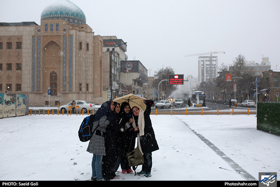 بارش برف در مشهد/ عکس: سعید گلی/ شهرآرا