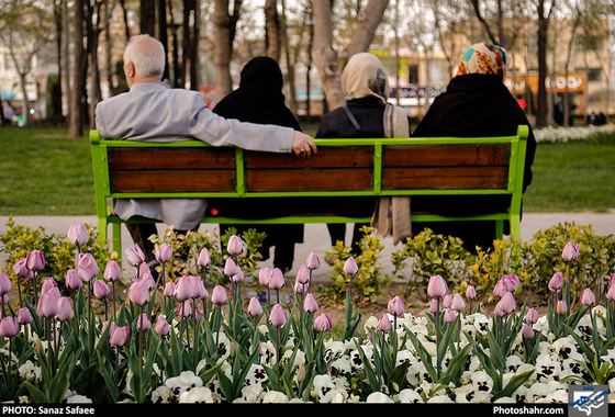رویش لاله ها در بوستان ملت / عکس: ساناز صفایی / شهرآرا