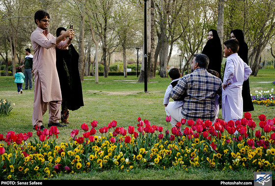 رویش لاله ها در بوستان ملت / عکس: ساناز صفایی / شهرآرا