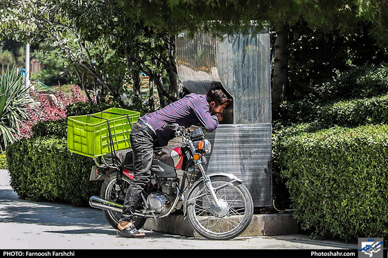 گرمای هوای مشهد / عکس: فرنوش فرشچی / شهرآرا