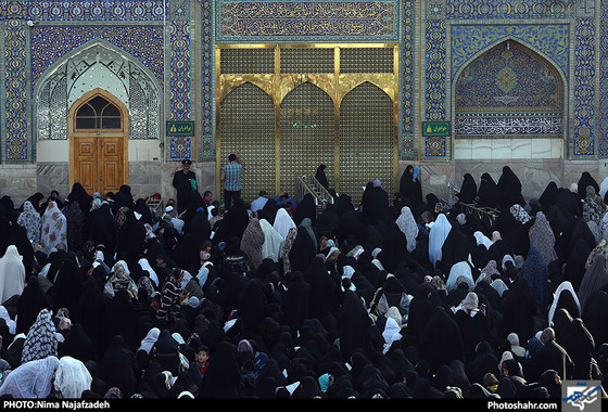 مراسم دعای عرفه درحرم مطهر رضوی / عکس: نیما نجف زاده / شهرآرا