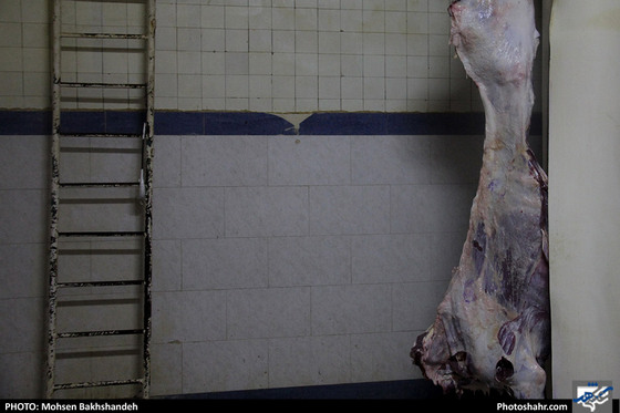 رنج سلاخی / عکس: محسن بخشنده / شهرآرا