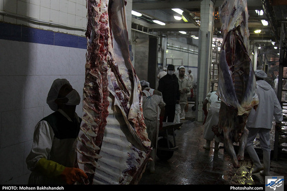 رنج سلاخی / عکس: محسن بخشنده / شهرآرا