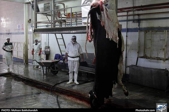 رنج سلاخی / عکس: محسن بخشنده / شهرآرا