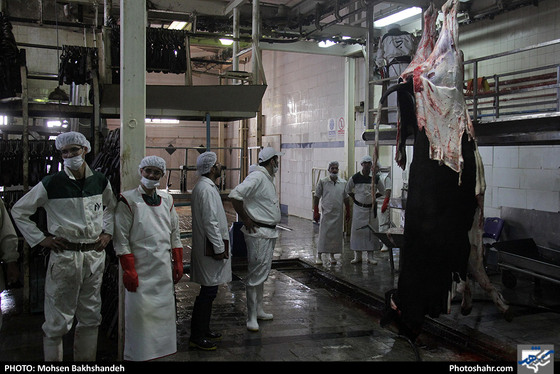 رنج سلاخی / عکس: محسن بخشنده / شهرآرا