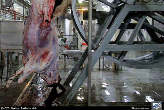 رنج سلاخی / عکس: محسن بخشنده / شهرآرا