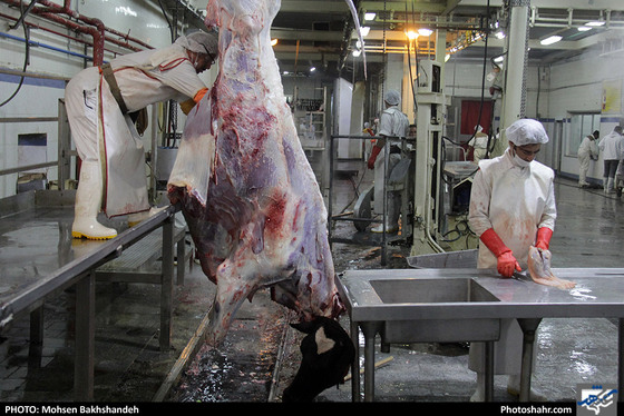 رنج سلاخی / عکس: محسن بخشنده / شهرآرا