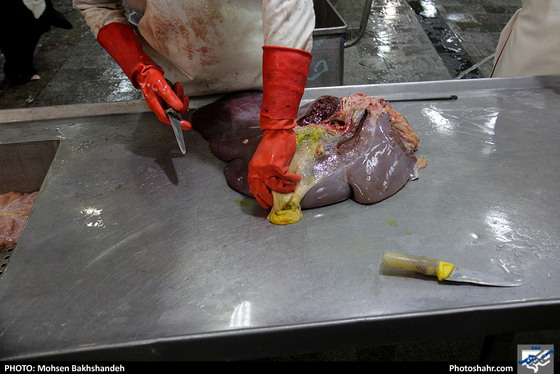 رنج سلاخی / عکس: محسن بخشنده / شهرآرا