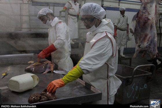 رنج سلاخی / عکس: محسن بخشنده / شهرآرا