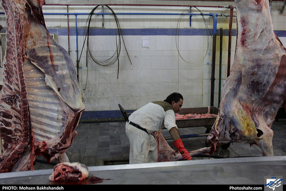 رنج سلاخی / عکس: محسن بخشنده / شهرآرا