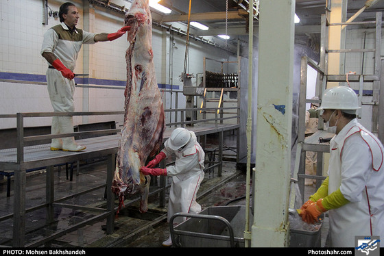 رنج سلاخی / عکس: محسن بخشنده / شهرآرا