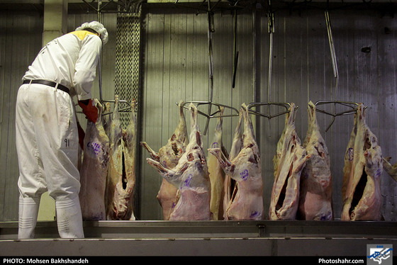 رنج سلاخی / عکس: محسن بخشنده / شهرآرا