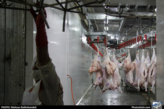 رنج سلاخی / عکس: محسن بخشنده / شهرآرا