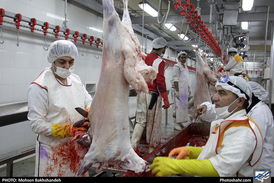 رنج سلاخی / عکس: محسن بخشنده / شهرآرا