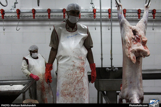 رنج سلاخی / عکس: محسن بخشنده / شهرآرا