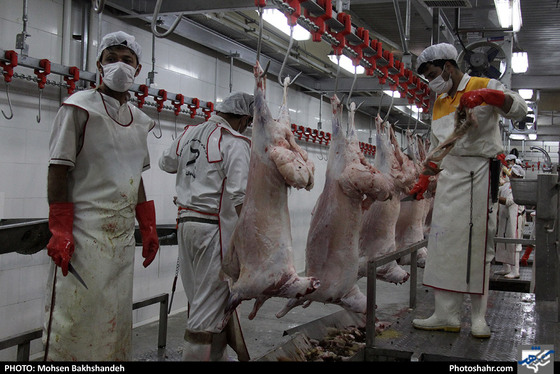 رنج سلاخی / عکس: محسن بخشنده / شهرآرا