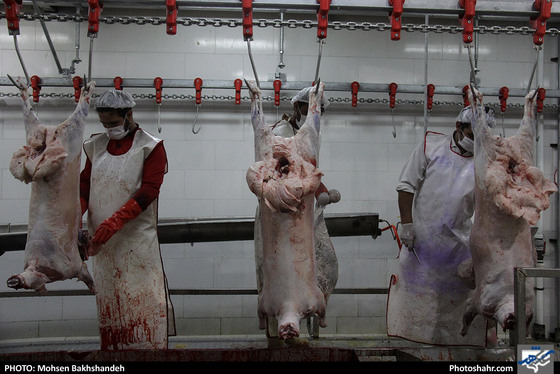 رنج سلاخی / عکس: محسن بخشنده / شهرآرا