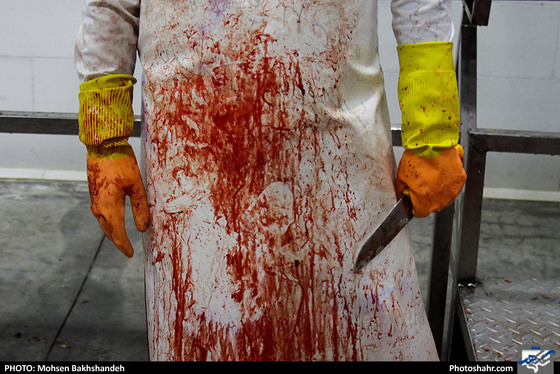 رنج سلاخی / عکس: محسن بخشنده / شهرآرا