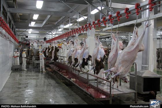 رنج سلاخی / عکس: محسن بخشنده / شهرآرا