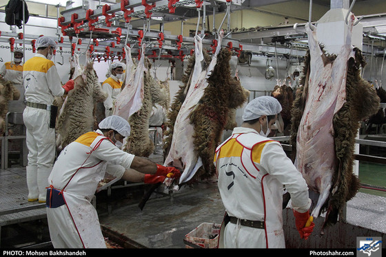 رنج سلاخی / عکس: محسن بخشنده / شهرآرا