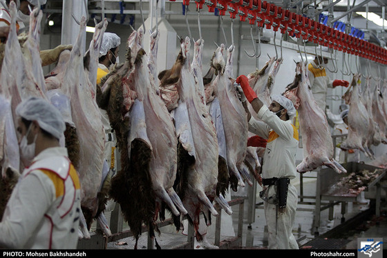 رنج سلاخی / عکس: محسن بخشنده / شهرآرا