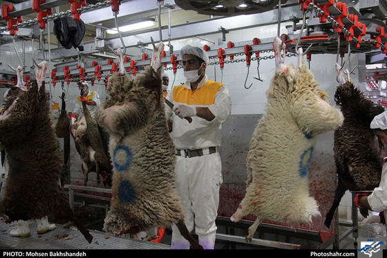 رنج سلاخی / عکس: محسن بخشنده / شهرآرا