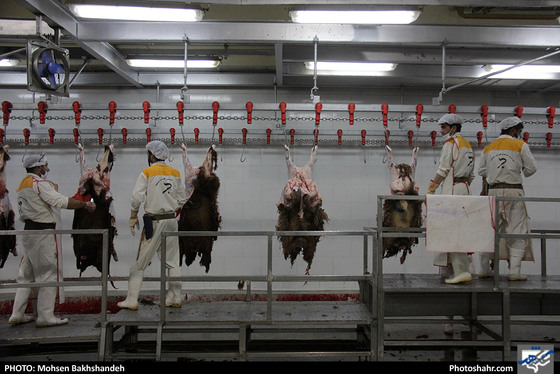 رنج سلاخی / عکس: محسن بخشنده / شهرآرا