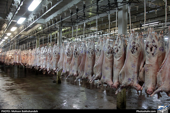 رنج سلاخی / عکس: محسن بخشنده / شهرآرا