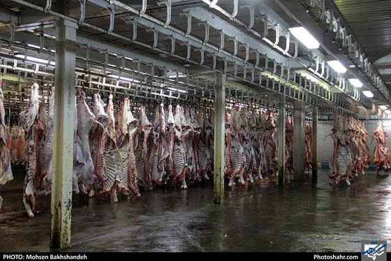 رنج سلاخی / عکس: محسن بخشنده / شهرآرا