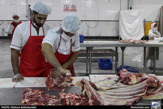 رنج سلاخی / عکس: محسن بخشنده / شهرآرا