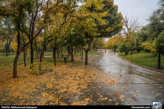 بارش باران در بوستان ملت / عکس: محمدصفرپور / شهرآرا
