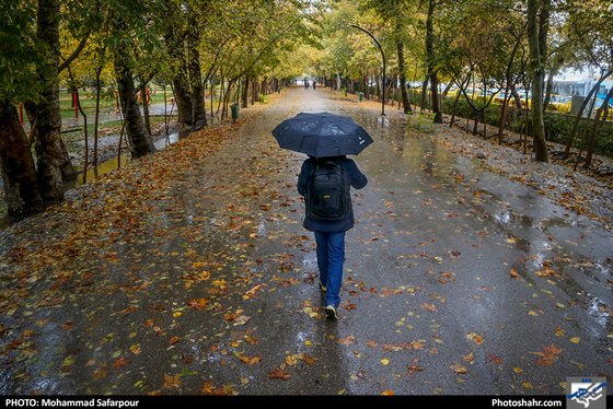 بارش باران در بوستان ملت / عکس: محمدصفرپور / شهرآرا