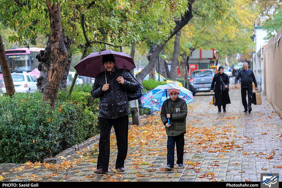 بارش باران در مشهد / عکس: سعید گلی / شهرآرا