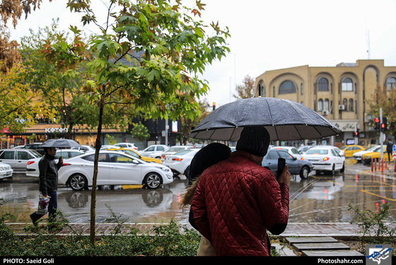 بارش باران در مشهد / عکس: سعید گلی / شهرآرا