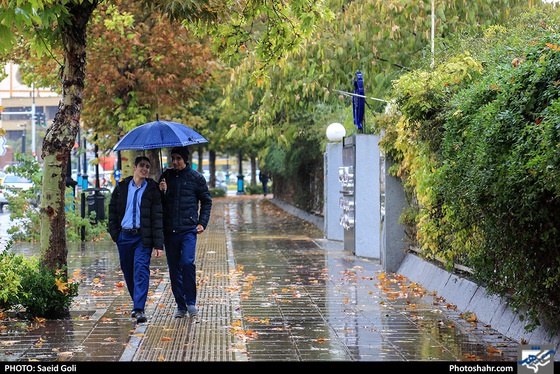 بارش باران در مشهد / عکس: سعید گلی / شهرآرا