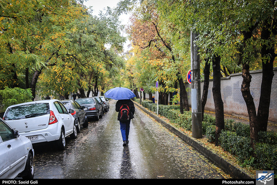 بارش باران در مشهد / عکس: سعید گلی / شهرآرا