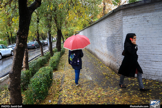 بارش باران در مشهد / عکس: سعید گلی / شهرآرا