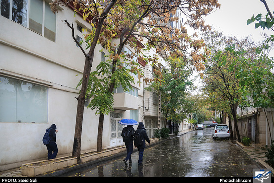 بارش باران در مشهد / عکس: سعید گلی / شهرآرا