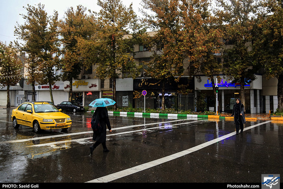 بارش باران در مشهد / عکس: سعید گلی / شهرآرا