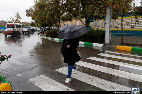 بارش باران در مشهد / عکس: ساناز صفائی / شهرآرا