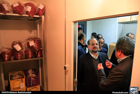 بازدید وزیر تعاون،کار و رفاه اجتماعی از یک واحد تولید زعفران / عکس:  محسن بخشنده / شهرآرا