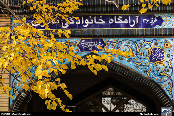پاییز در آرامستان بهشت رضا (ع) / عکس: مصطفی عباسی / شهرآرا