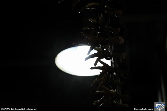 کشتارگاه صنعتی مرغ / عکس: محسن بخشنده / شهرآرا