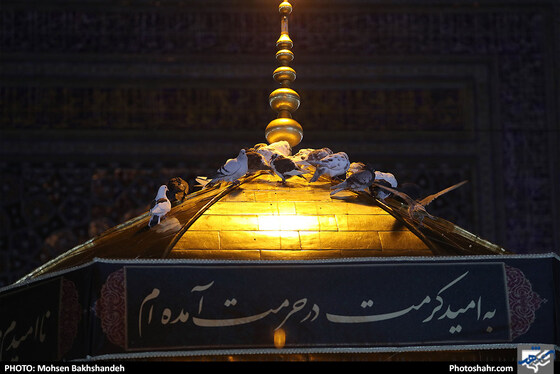 خطبه خوانی شب شهادت امام رضا (ع) / عکس: محسن بخشنده / شهرآرا