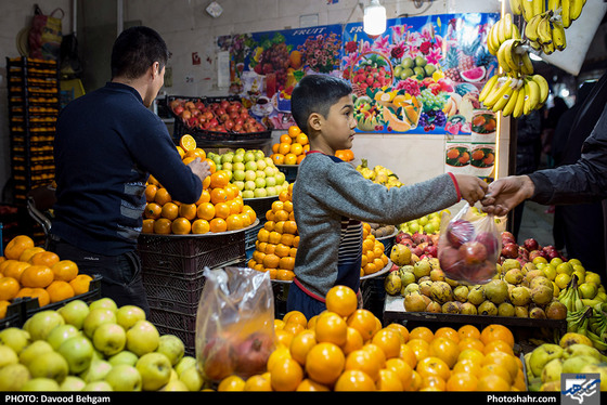 در آستانه شب یلدا / عکس: داود بهگام / شهرآرا