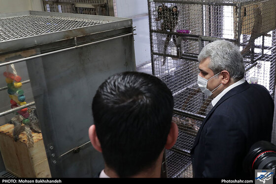 سفر معاون علمی و فناوری رییس جمهور به مشهد - عکس : محسن بخشنده / شهرآرا