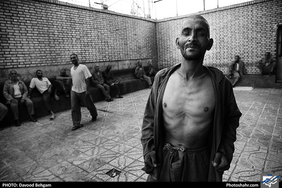 «زمستانی ها» - عکس: داوود بهگام / شهرآرا