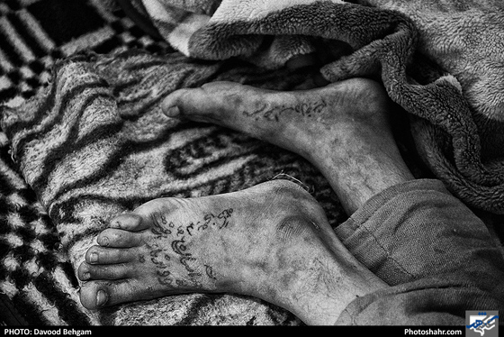 «زمستانی ها» - عکس: داوود بهگام / شهرآرا
