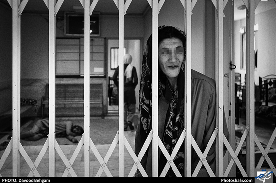 «زمستانی ها» - عکس: داوود بهگام / شهرآرا